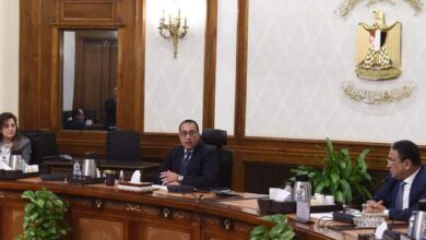 صورة رئيس الوزراء يتابع جهود صندوق مصر السيادى لجذب الاستثمارات الأجنبية